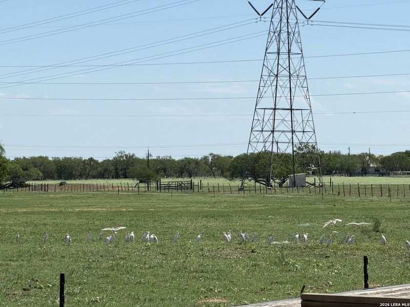 Natural landscape and outdoor views near  in Seguin (Image 25).