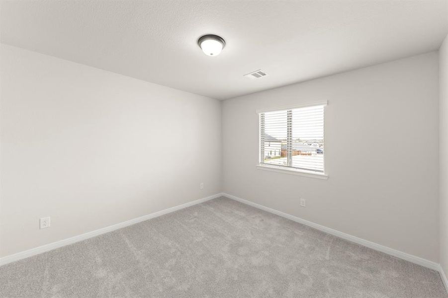 19_1436 Bramante, Celina