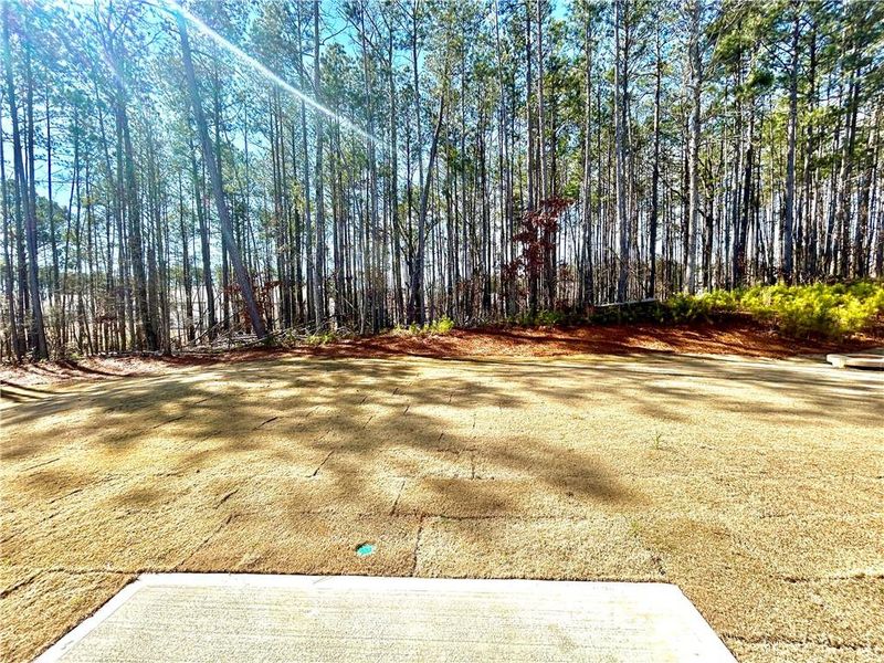 Natural landscape and outdoor views near  in Locust Grove (Image 36).