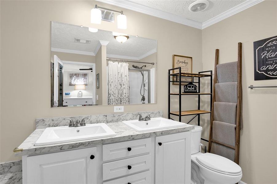 Furnished interior view inside a new home in , Hastings (Image 6). Furnished interior view inside a new home in , Hastings (Image 6).