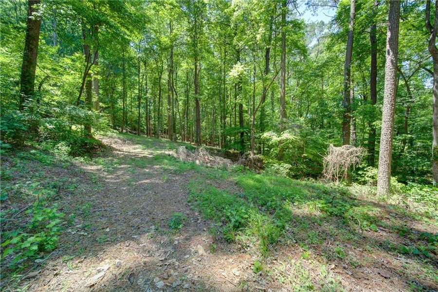 Natural landscape and outdoor views near in Alpharetta (Image 10). Natural landscape and outdoor views near in Alpharetta (Image 10).