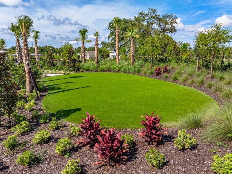 Natural landscape and outdoor views near Palm Wind in Hudson (Image 29).