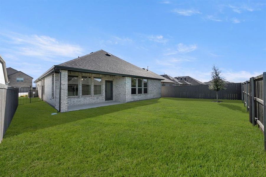 7545 Wild Mint- Back-1 7545 Wild Mint- Back-1