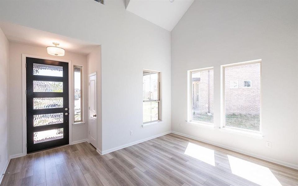 Foyer entrance featuring high vaulted ceiling, plenty of natural light, and light hardwood / wood-style flooring