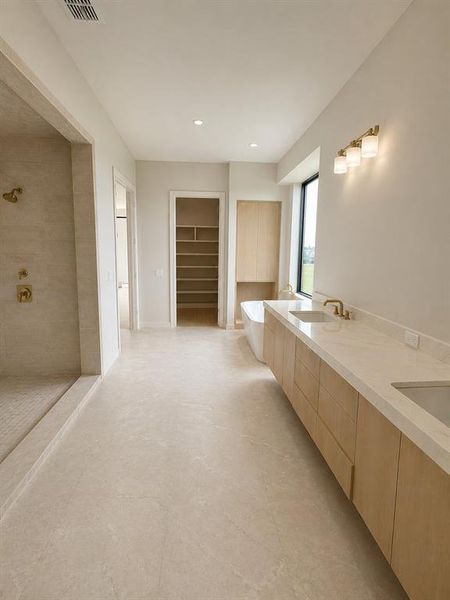 Primary Suite Bath View 2