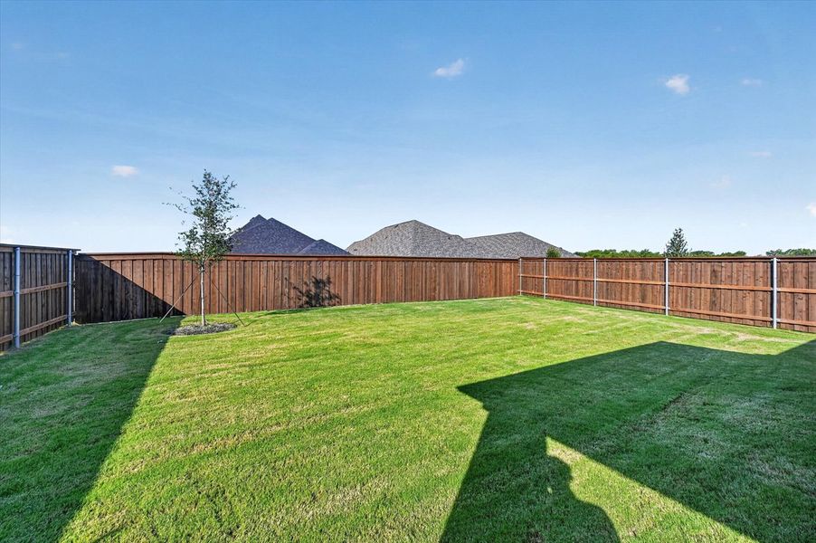 Backyard Backyard