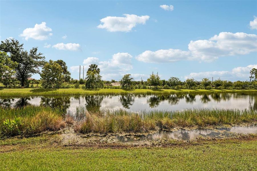 Natural landscape and outdoor views near Vistera of Venice in Nokomis (Image 24). Natural landscape and outdoor views near Vistera of Venice in Nokomis (Image 24).