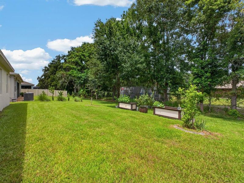Natural landscape and outdoor views near Storey Creek in Kissimmee (Image 52).