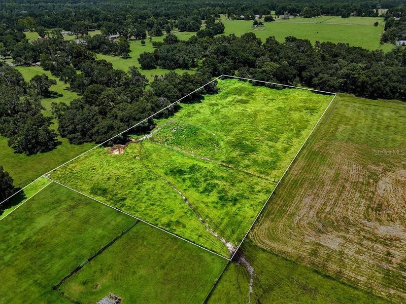 Natural landscape and outdoor views near  in Dade City (Image 12).