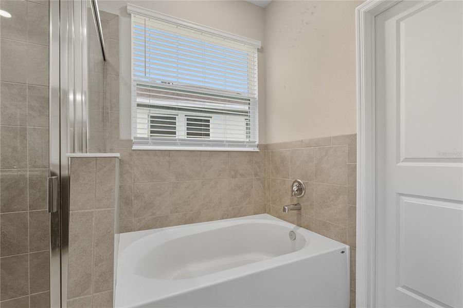 Furnished interior view inside a new home in , Dade City (Image 7).