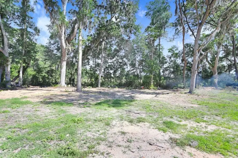 Natural landscape and outdoor views near  in Summerfield (Image 11).