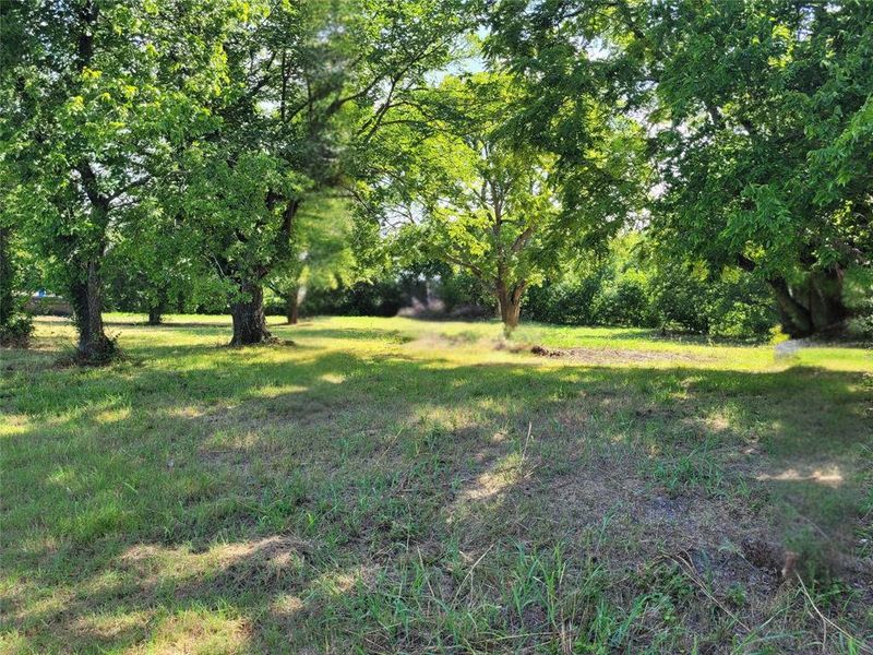 View of green lawn featuring view of wooded area View of green lawn featuring view of wooded area
