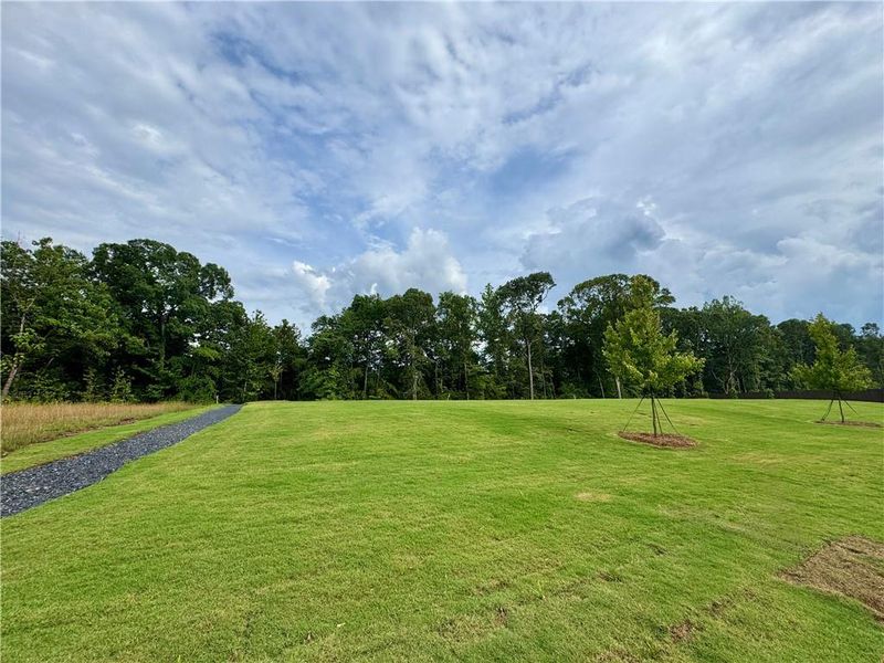 Natural landscape and outdoor views near Eastlyn Crossing - Single Family in Flowery Branch (Image 22). Natural landscape and outdoor views near Eastlyn Crossing - Single Family in Flowery Branch (Image 22).