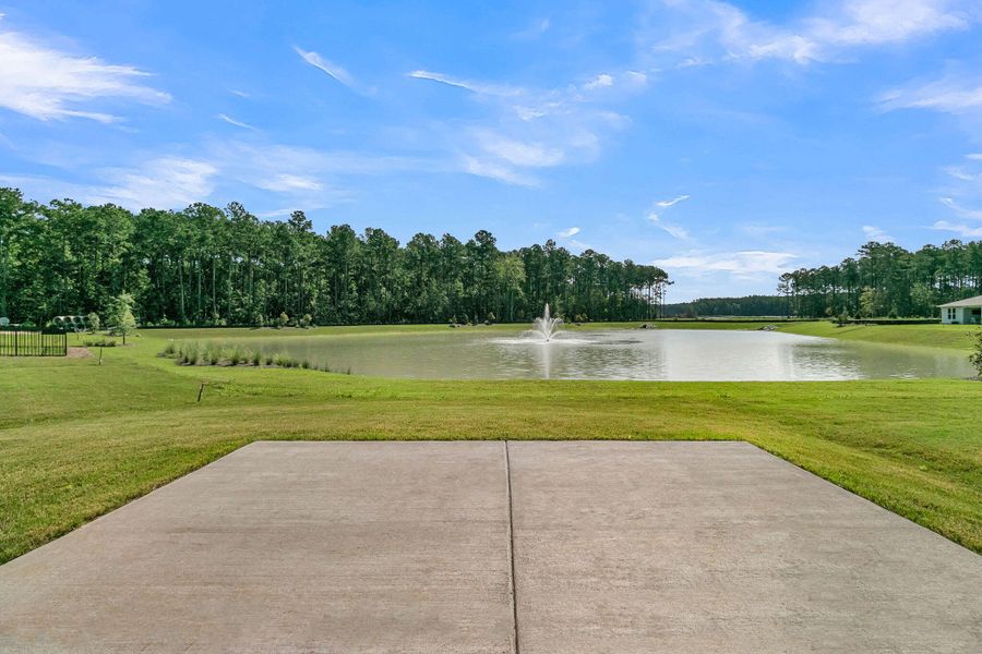 Natural landscape and outdoor views near  in Summerville (Image 51).