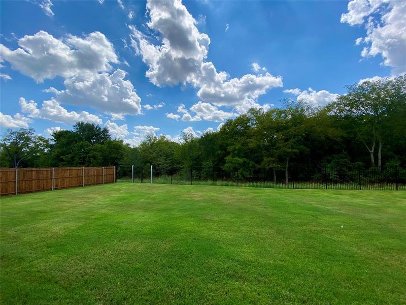 Another view of this premium lot Another view of this premium lot