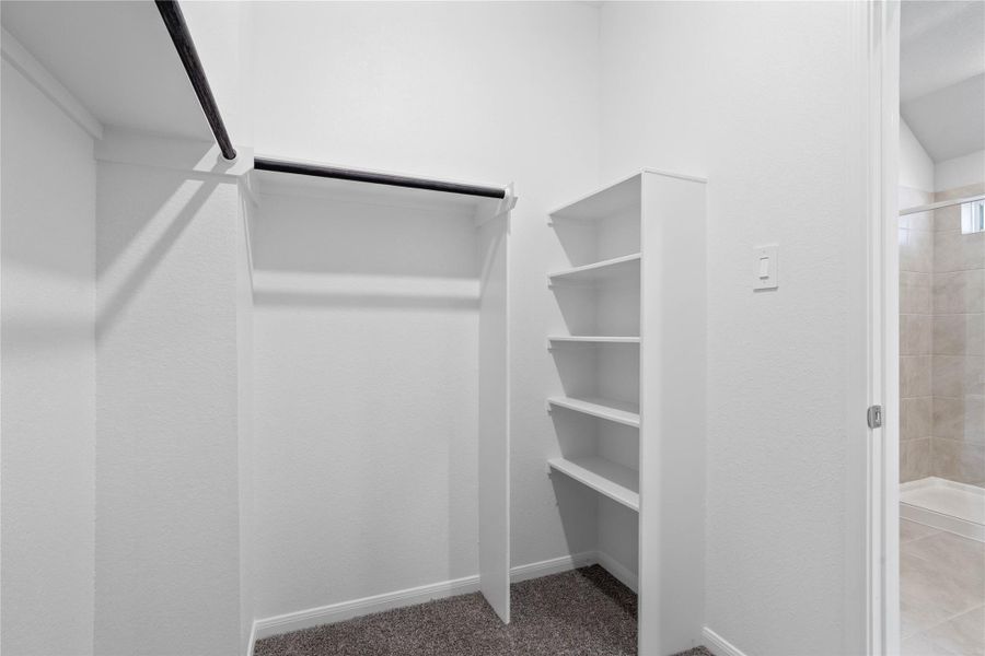 The primary suite features a generous walk-in closet equipped with functional hanging rods and shelving.