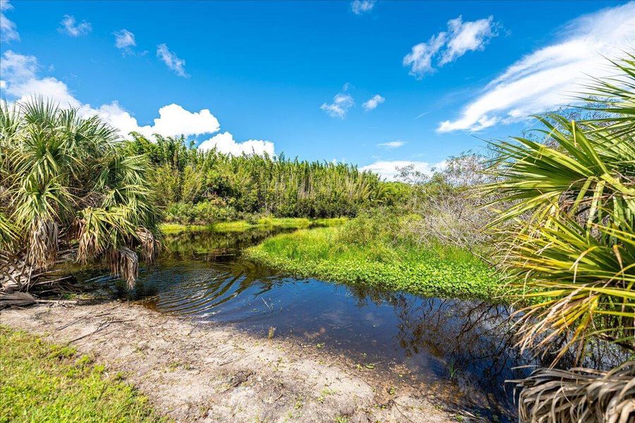 Natural landscape and outdoor views near  in Port St. Lucie (Image 31).