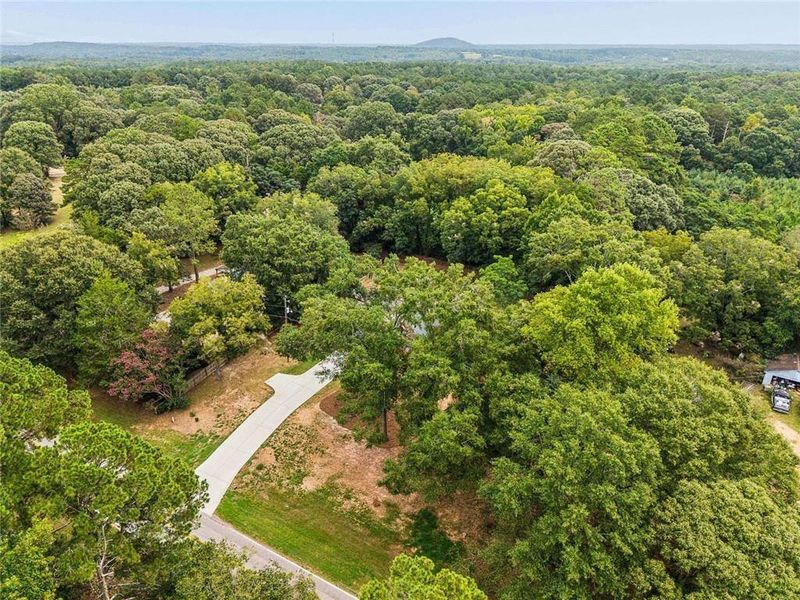 Natural landscape and outdoor views near  in Covington (Image 40).