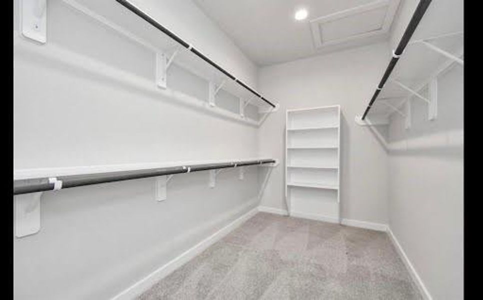 Spacious, unfurnished interior of a new home in Cypress Green, Hockley (Image 10).