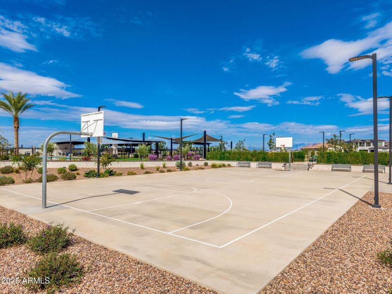 Community Area Community Area