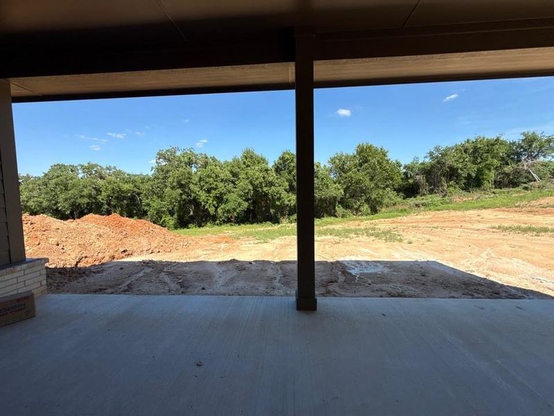 Covered concrete patio opening onto an undeveloped lot with a tree-lined perimeter