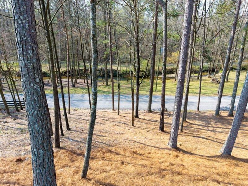 Natural landscape and outdoor views near  in Ellijay (Image 71).