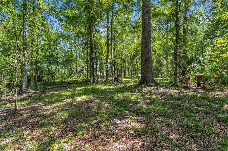 Natural landscape and outdoor views near  in Brooksville (Image 36).
