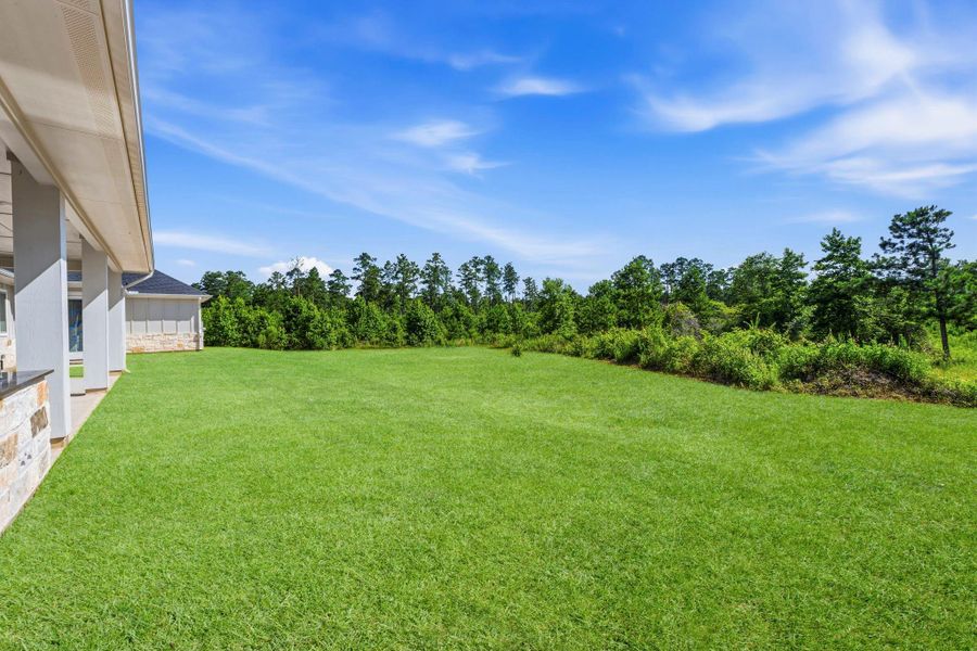 Grass is AI generated Grass is AI generated