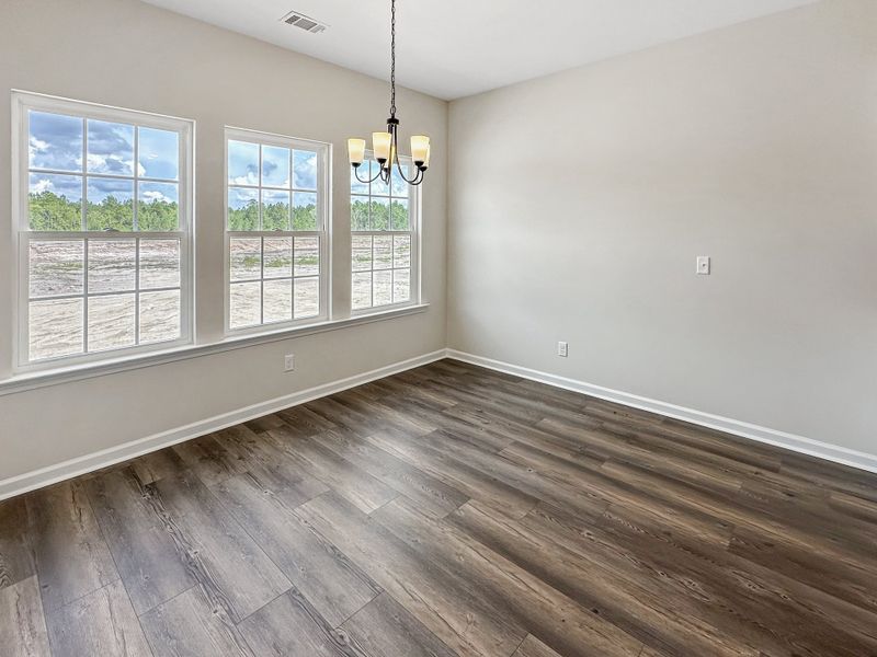 Spacious, unfurnished interior of a new home in Doctor's Creek, Ludowici (Image 13).