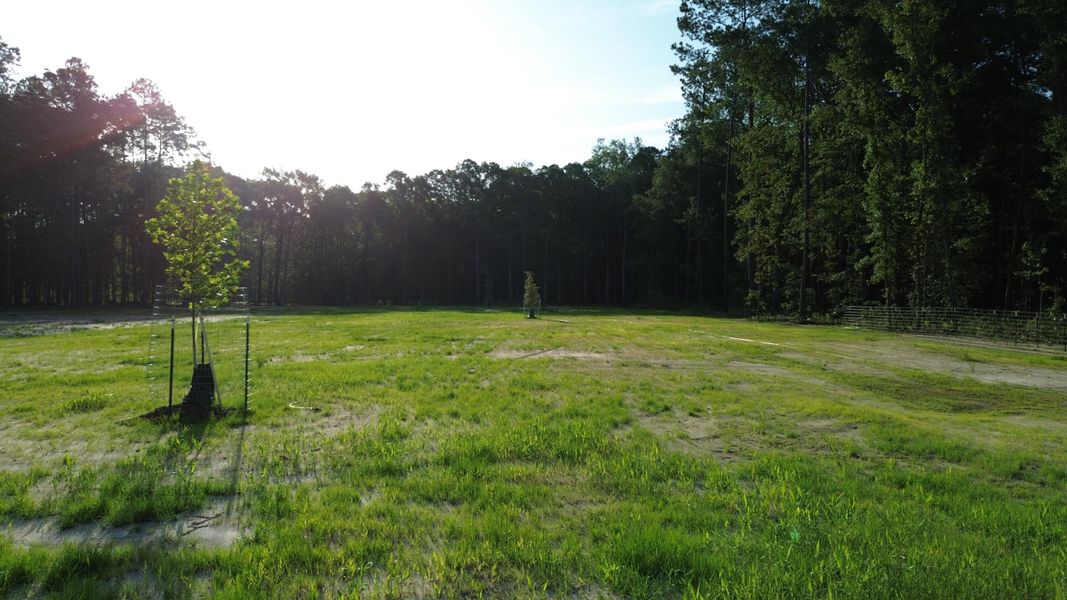 Natural landscape and outdoor views near in Ridgeville (Image 34). Natural landscape and outdoor views near in Ridgeville (Image 34).