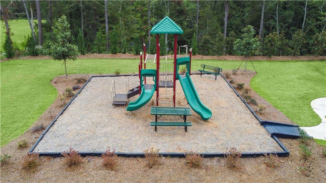 Community amenities in Reunion, Flowery Branch (Image 47).