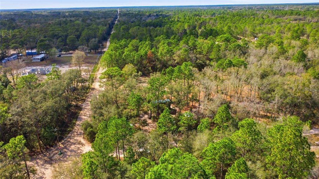 Natural landscape and outdoor views near  in Dunnellon (Image 34).