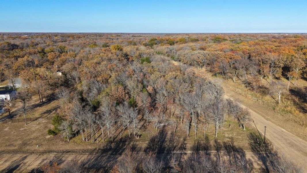 Natural landscape and outdoor views near  in Mabank (Image 11).