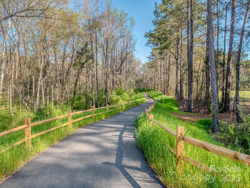 Natural landscape and outdoor views near  in Lancaster (Image 25).