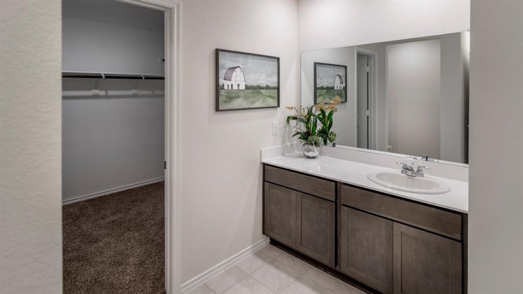 Bathroom with vanity, a walk in closet, and light colored carpet