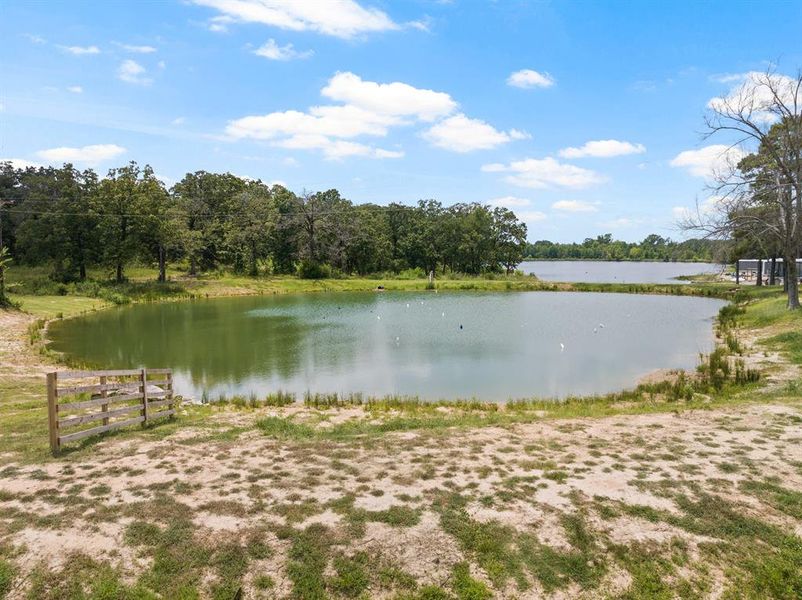 Natural landscape and outdoor views near  in Mount Pleasant (Image 21).