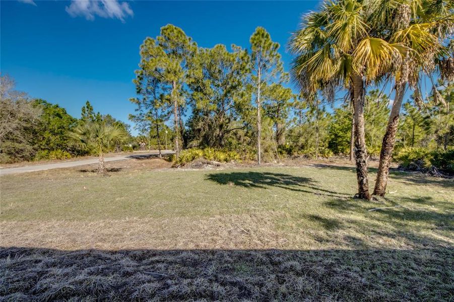Natural landscape and outdoor views near in Lehigh Acres (Image 51). Natural landscape and outdoor views near in Lehigh Acres (Image 51).