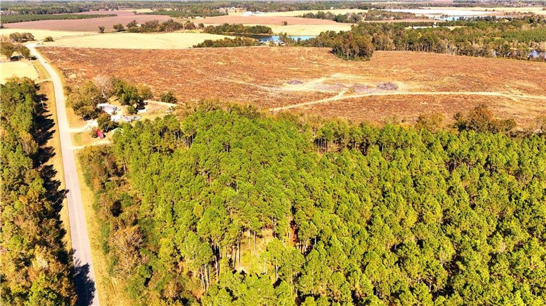 Natural landscape and outdoor views near  in Chester (Image 37).