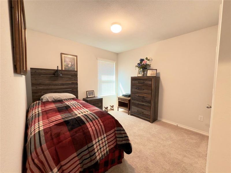 Bedroom featuring carpet floors and baseboards Bedroom featuring carpet floors and baseboards