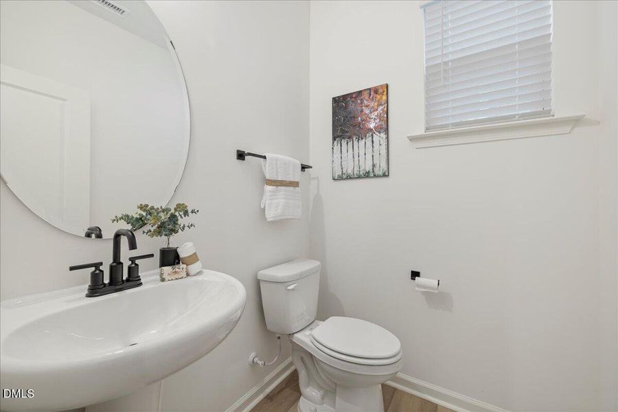 11-50 Button Bush Dr