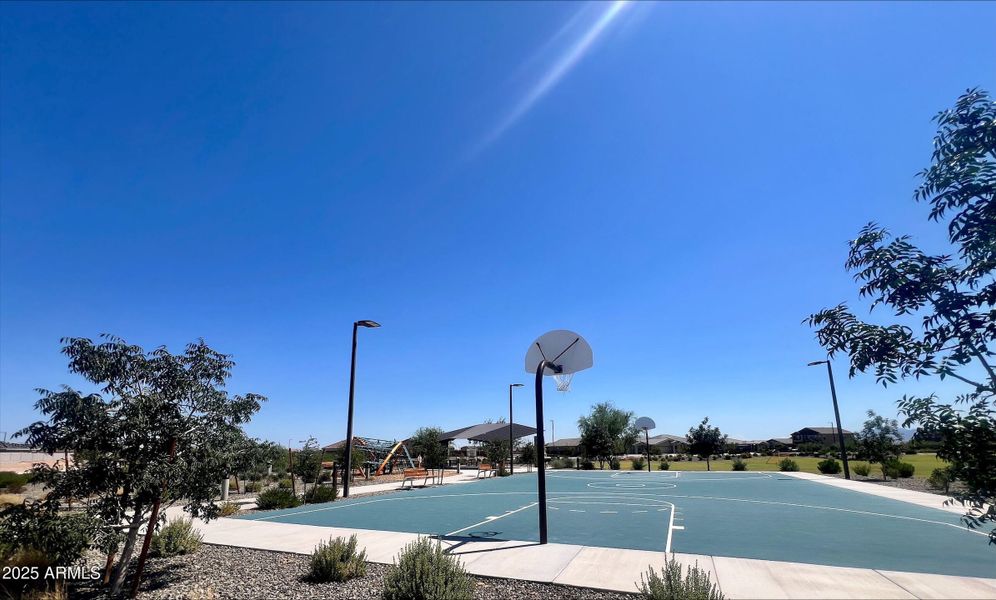 processed-C3B9666F-258E-42B1-AB58-311D56 processed-C3B9666F-258E-42B1-AB58-311D56