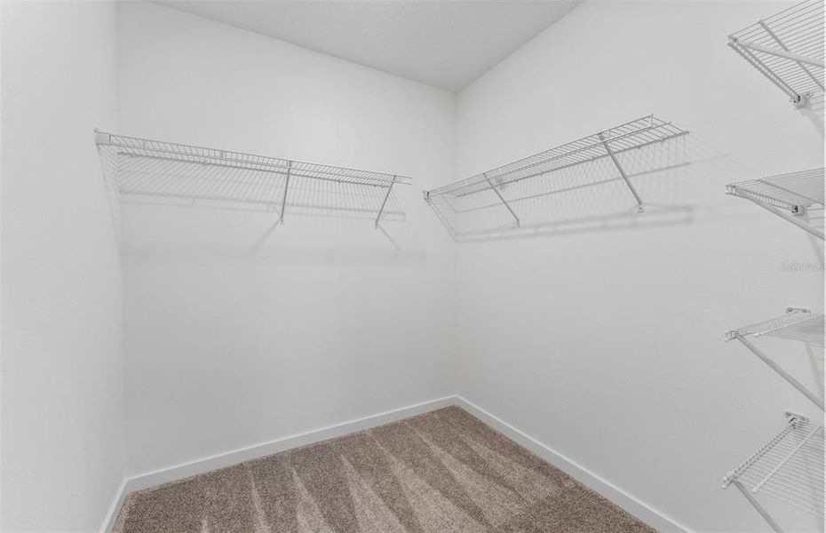 Spacious, unfurnished interior of a new home in Spencer Glen, Riverview (Image 11).