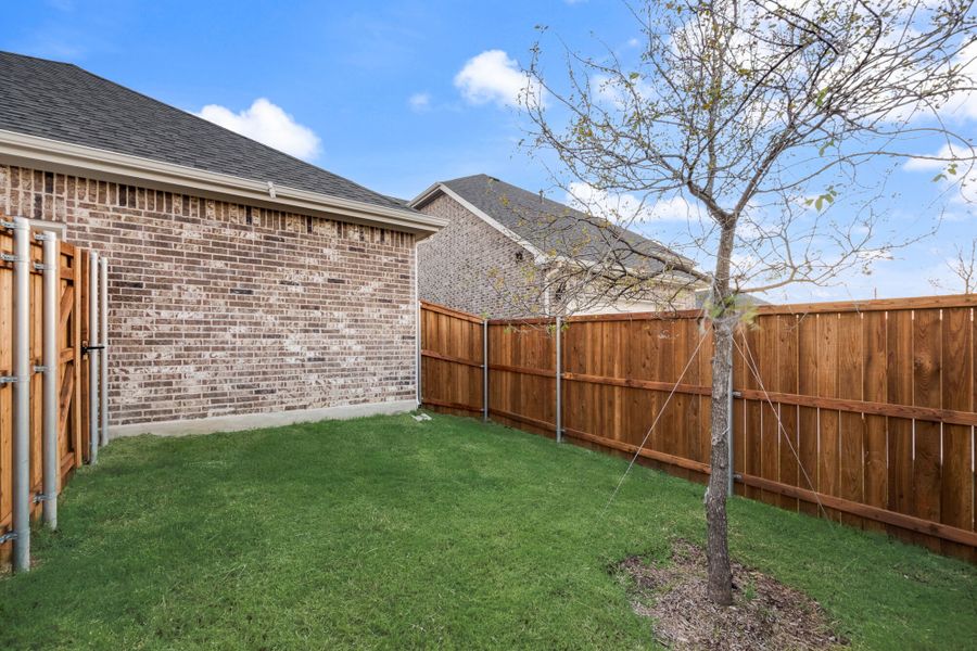 Exterior back Exterior back