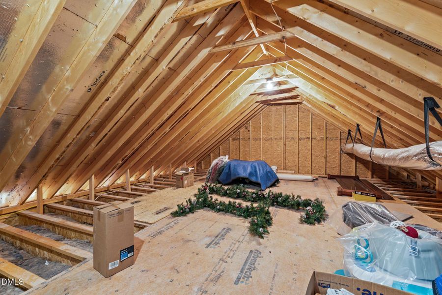 74-web-or-mls-DSC06613