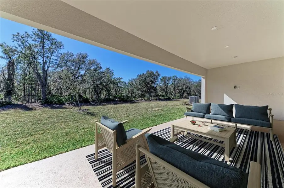 Exterior details and patio area of a home in Hawkstone, Lithia (Image 2).