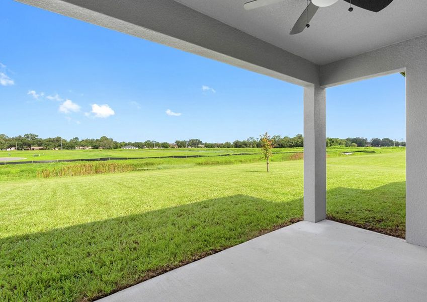 Backyard of the Siesta Key