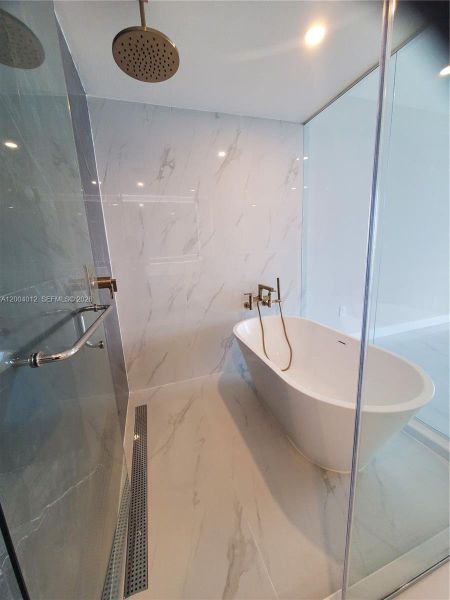 Mater Bathroom Shower and tub