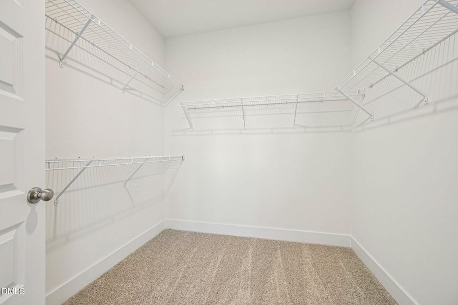 30-web-or-mls-Dunzo Dr-S1203-030