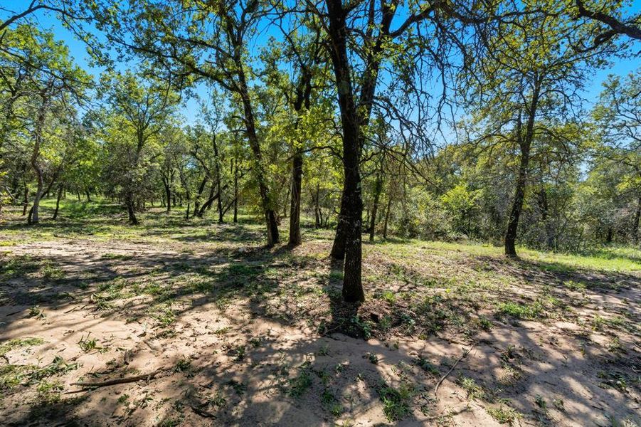 Natural landscape and outdoor views near  in Alvord (Image 22).