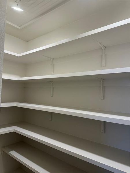 Expansive pantry featuring wrap-around shelving and clean white finishes
